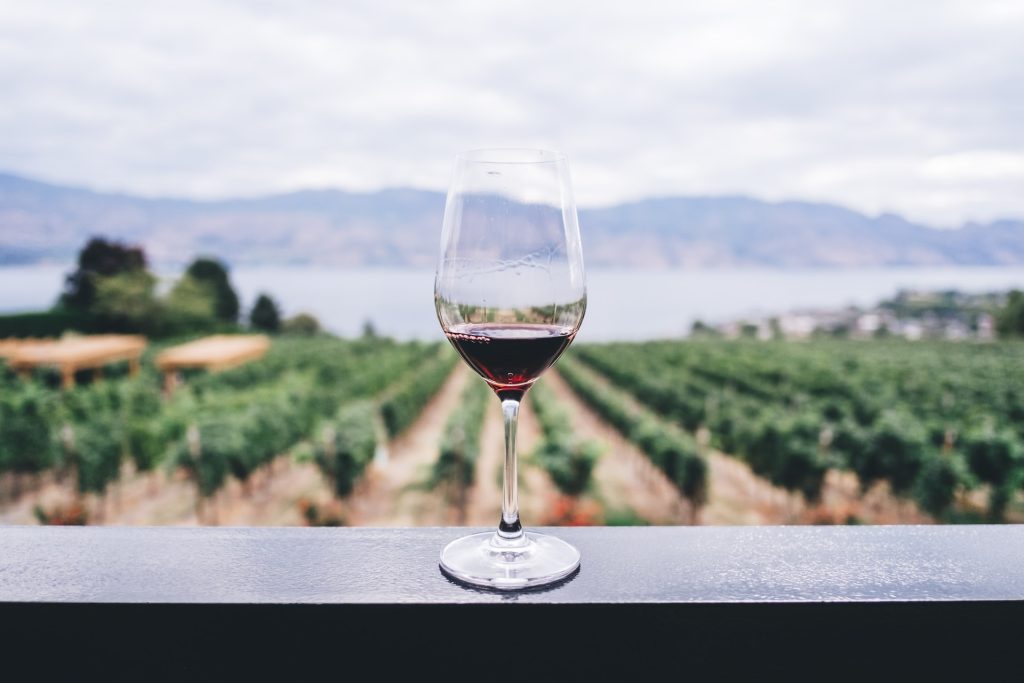 Kako vino sprečava starenje?